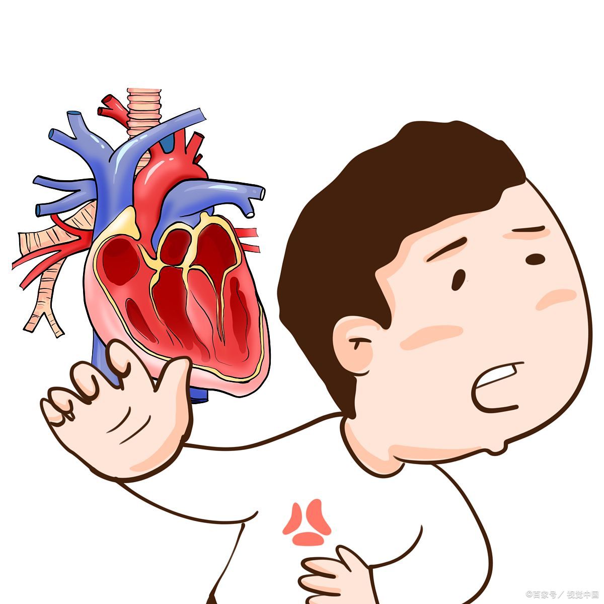 肺虚药膳,脾肺肾虚弱吃什么食物