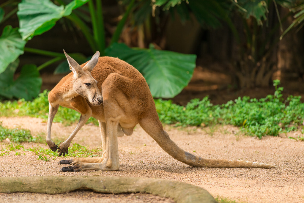 各个国家的国宝大全,世界上的各个国家的国宝