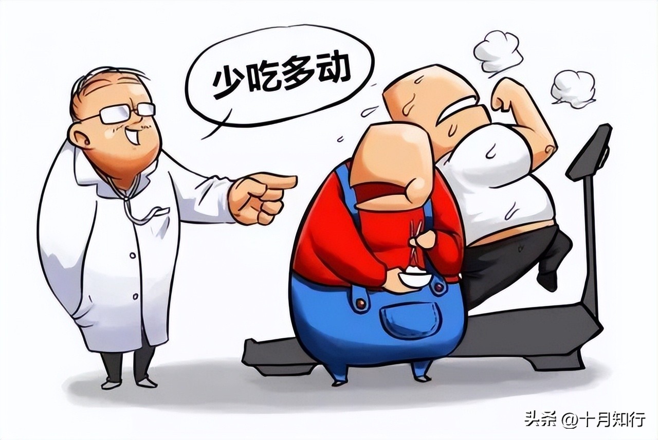 脂肪率低内脏脂肪高怎么减,如何消除内脏脂肪和热量