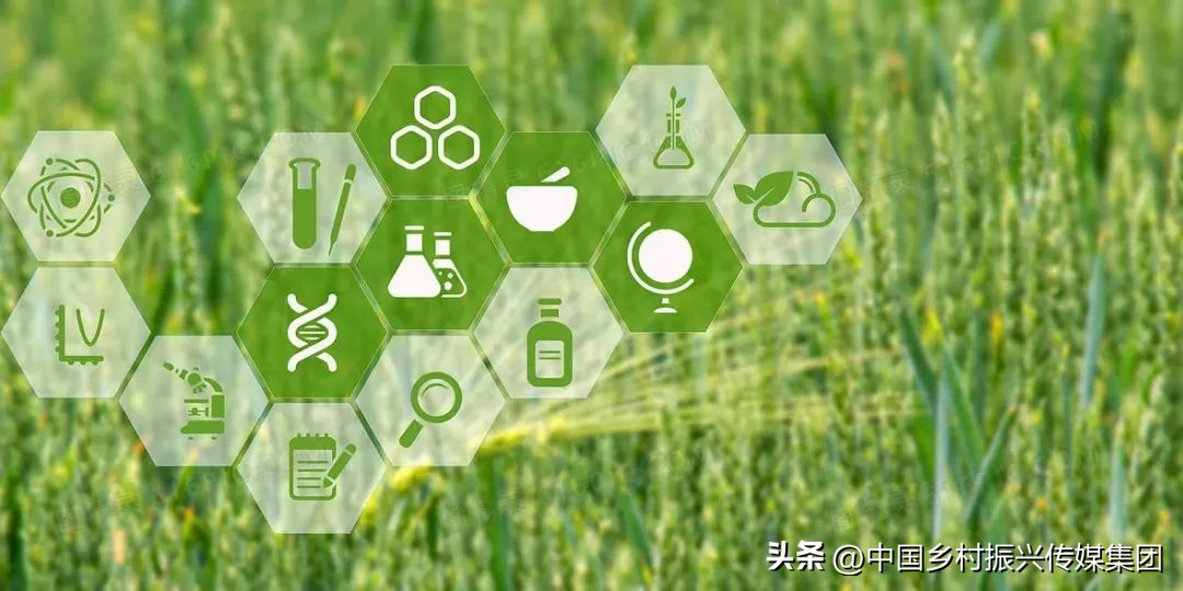 政府扶持乡村振兴的项目有哪些,2024乡村振兴政府补贴重点项目