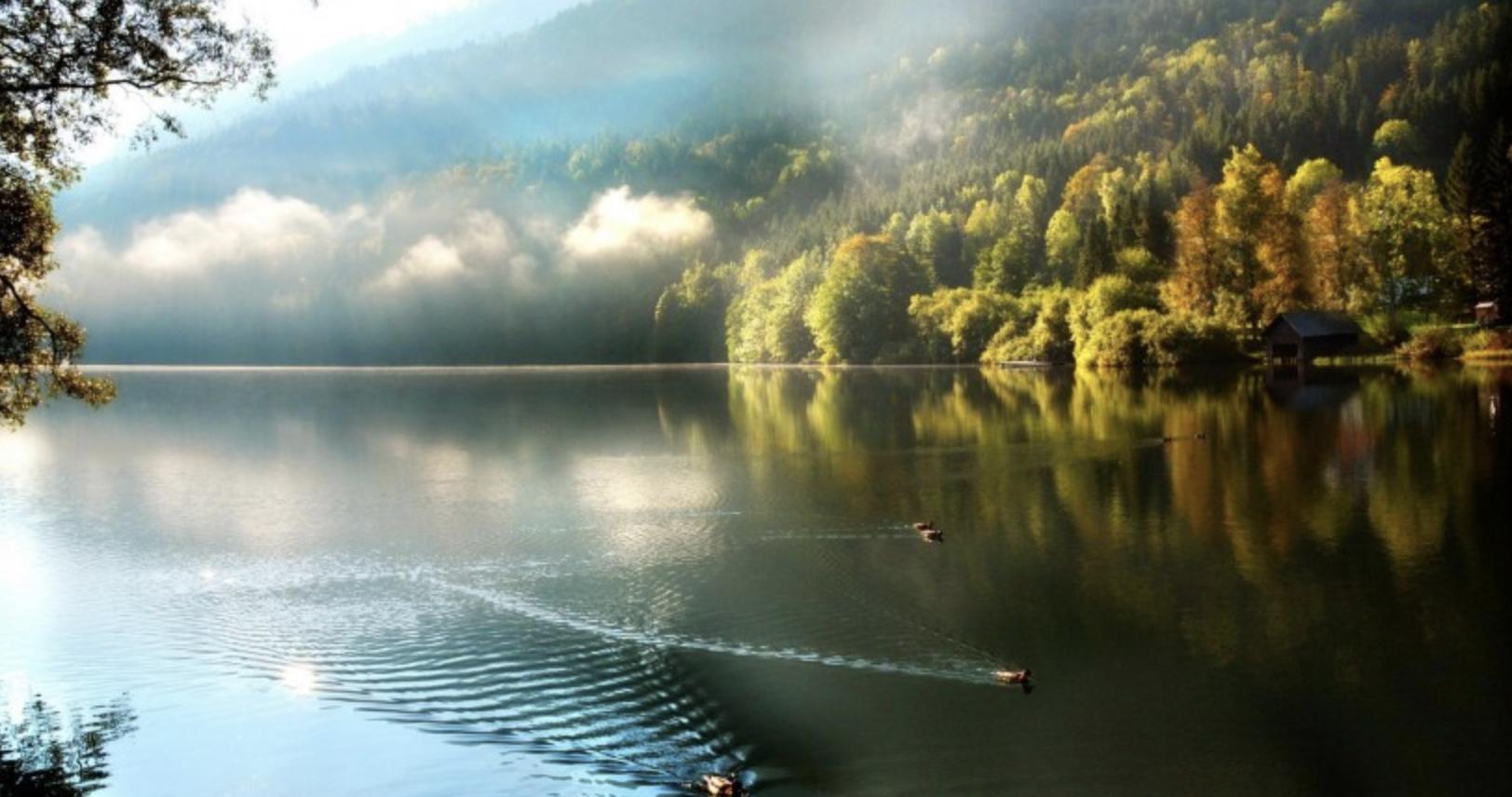 狮子座和其他星座的关系,如何跟狮子座相处感情会越来越好