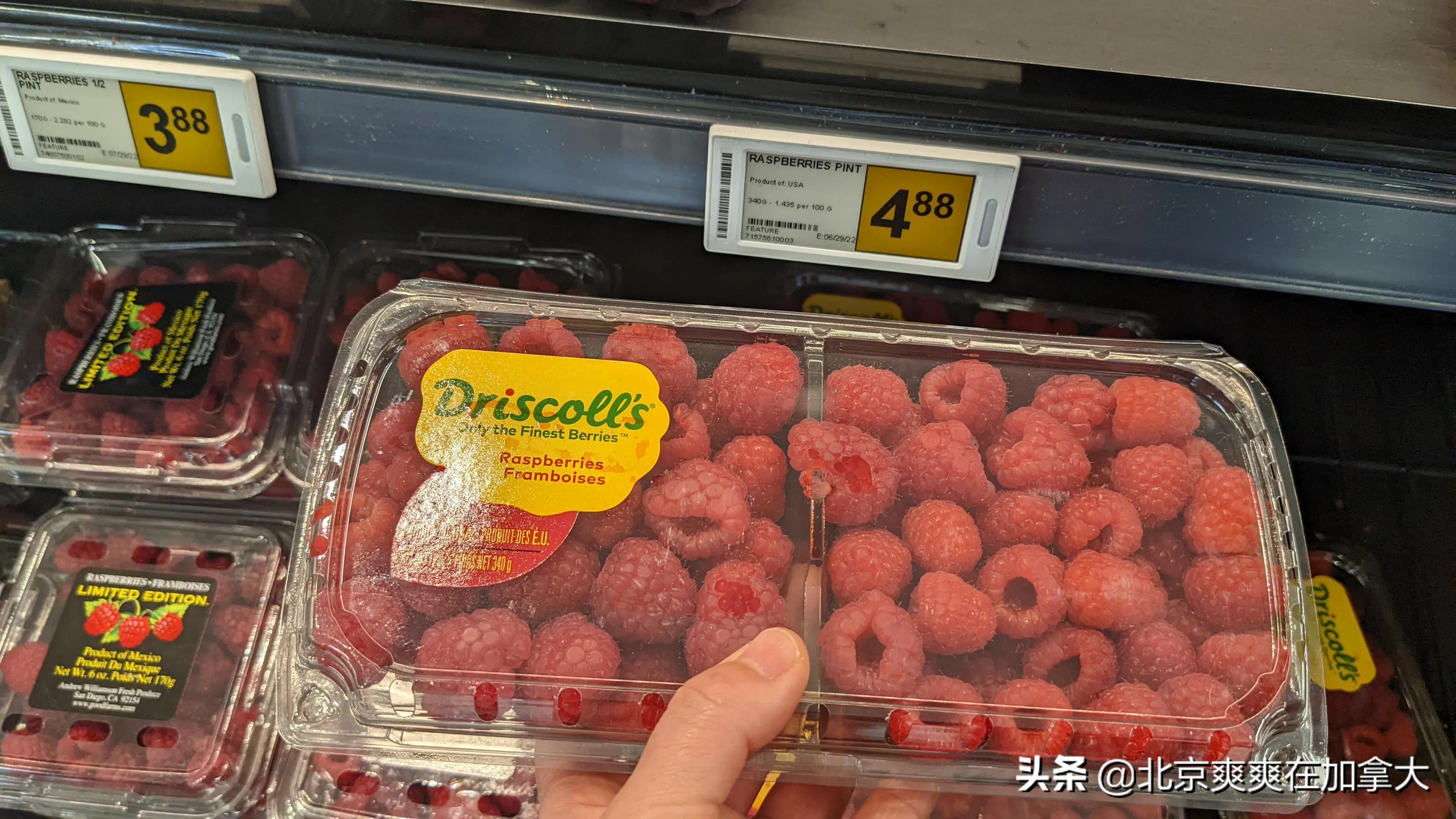 加拿大多伦多华人超市物价,加拿大城市物价排行