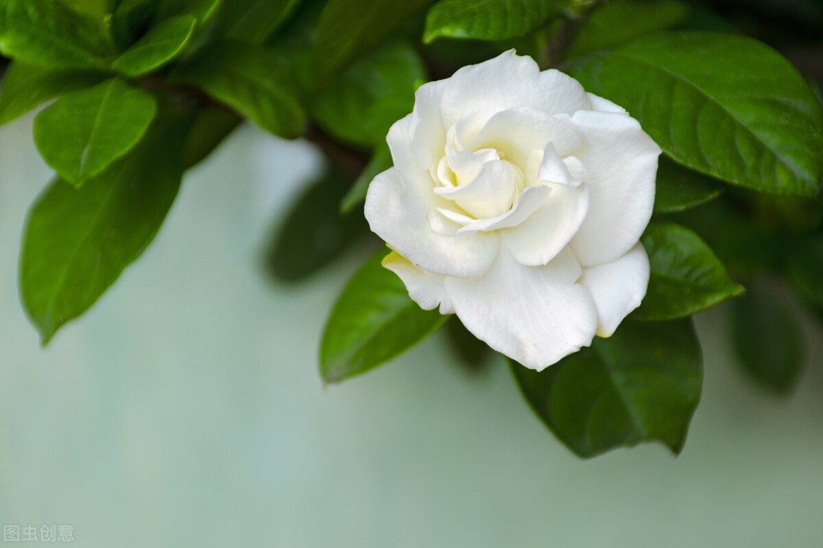 会删除很久不联系的朋友的微信吗,删除微信不常联系的朋友