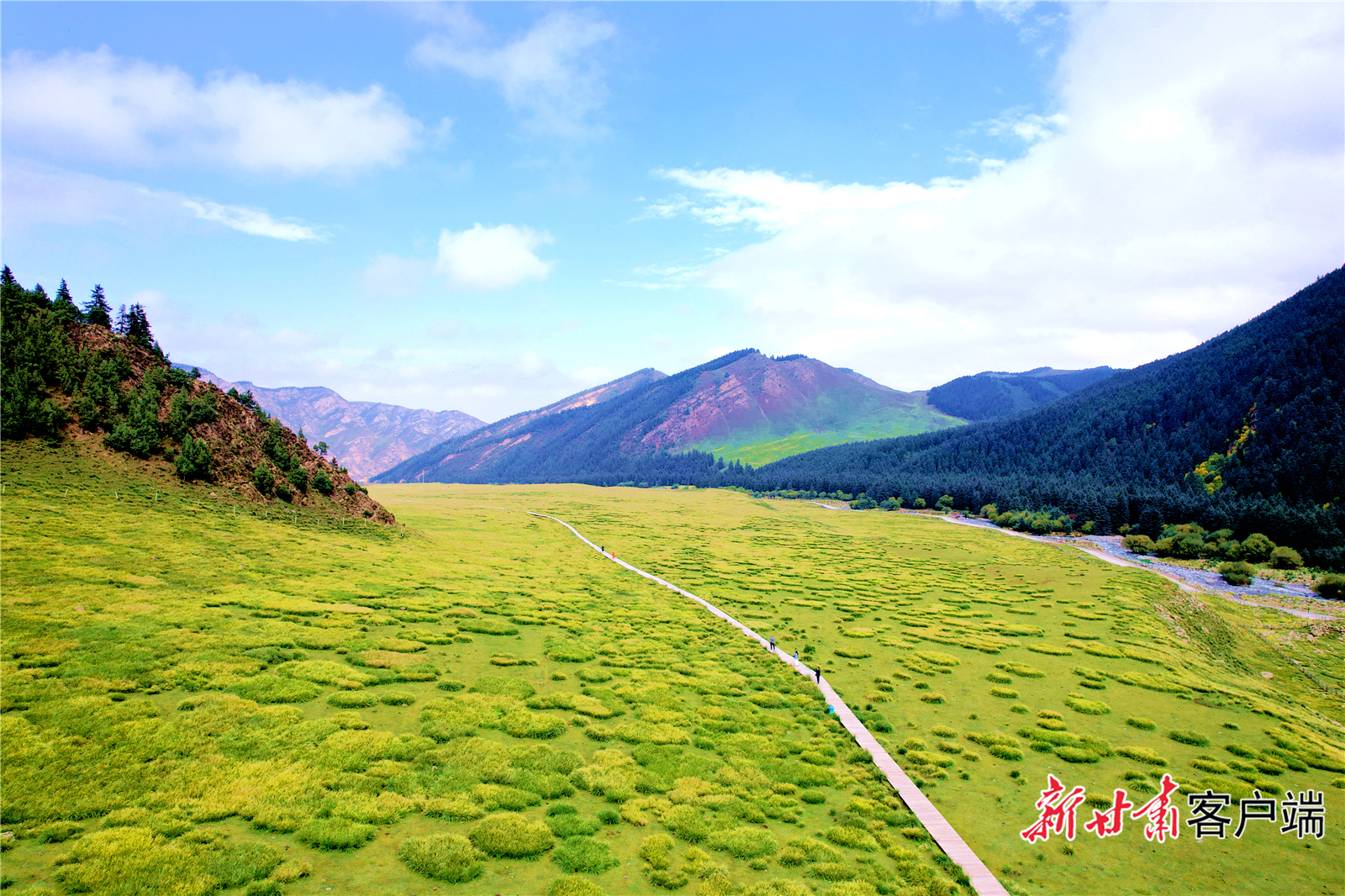 央视焦点2017年访谈甘肃祁连山,甘肃新闻祁连山