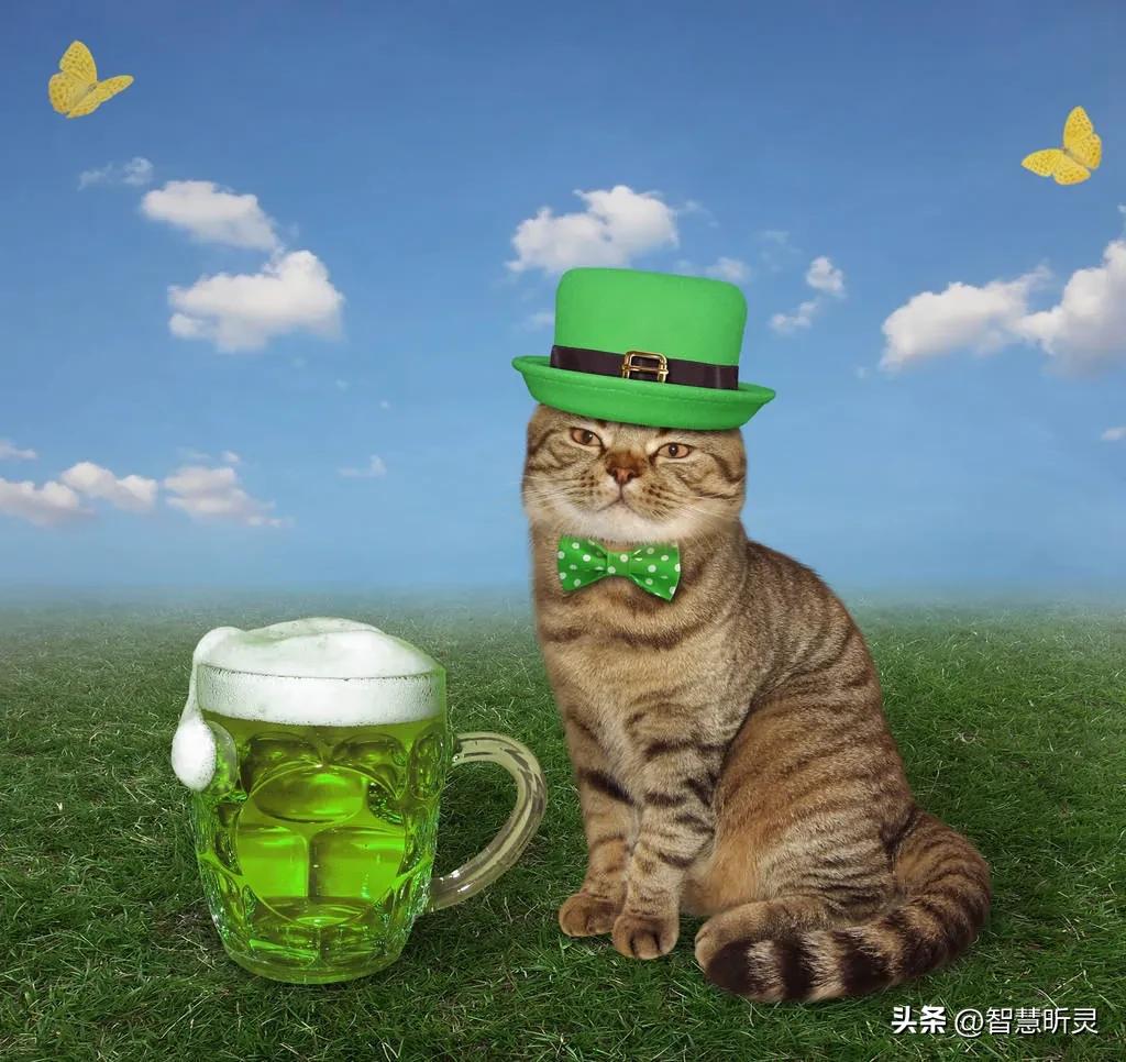 我的成长日记韩剧,我的成长日记全集