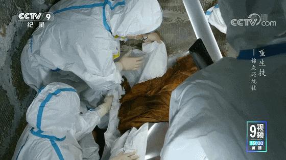 一口气八集!拿命换来的燃,果然是央视良心