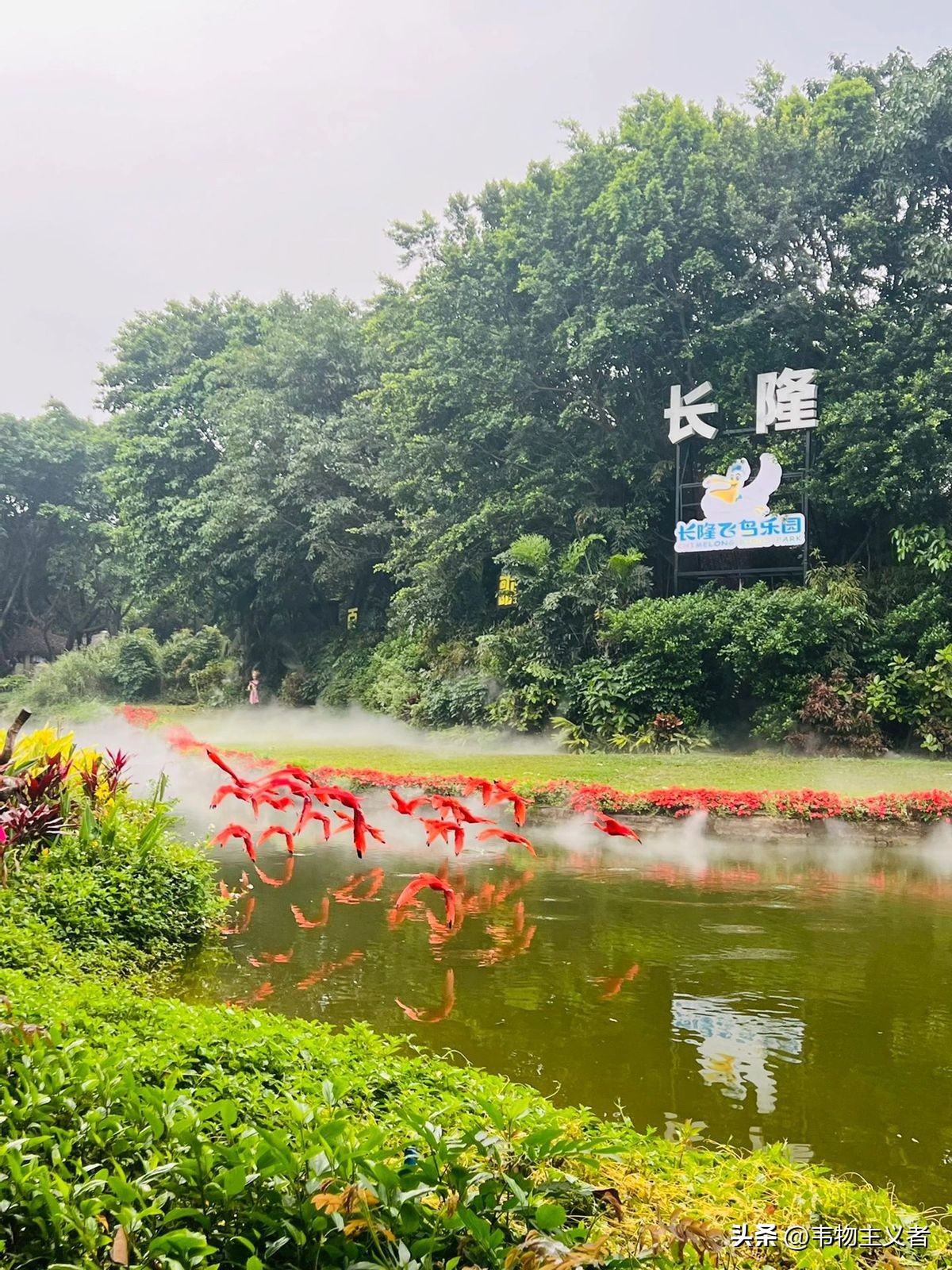 广州长隆飞鸟乐园一日游攻略,长隆飞鸟乐园怎么到大马戏