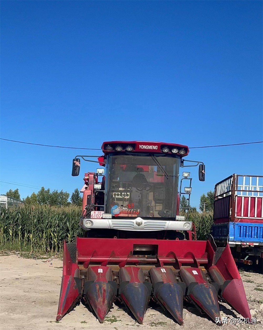 新型勇猛玉米收获机视频,勇猛二行玉米收获机多少一台
