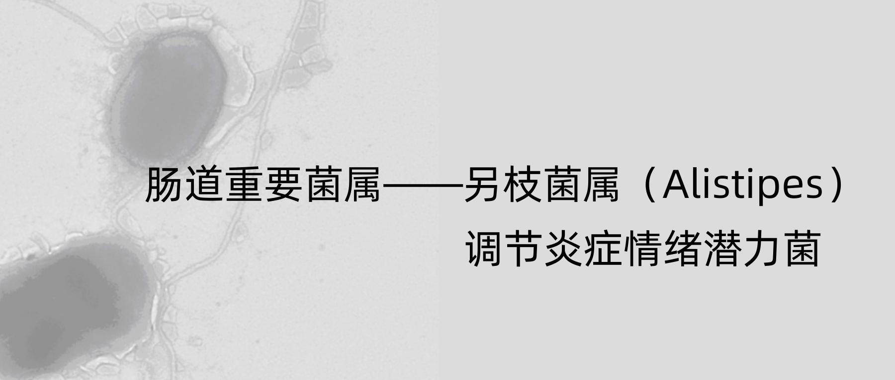 肠道菌群中占大多数的是拟杆菌 (肠道杆菌中对酸敏感的细菌)