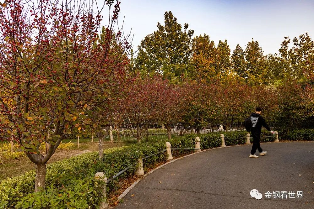 南湖游乐公园,南湖主题公园