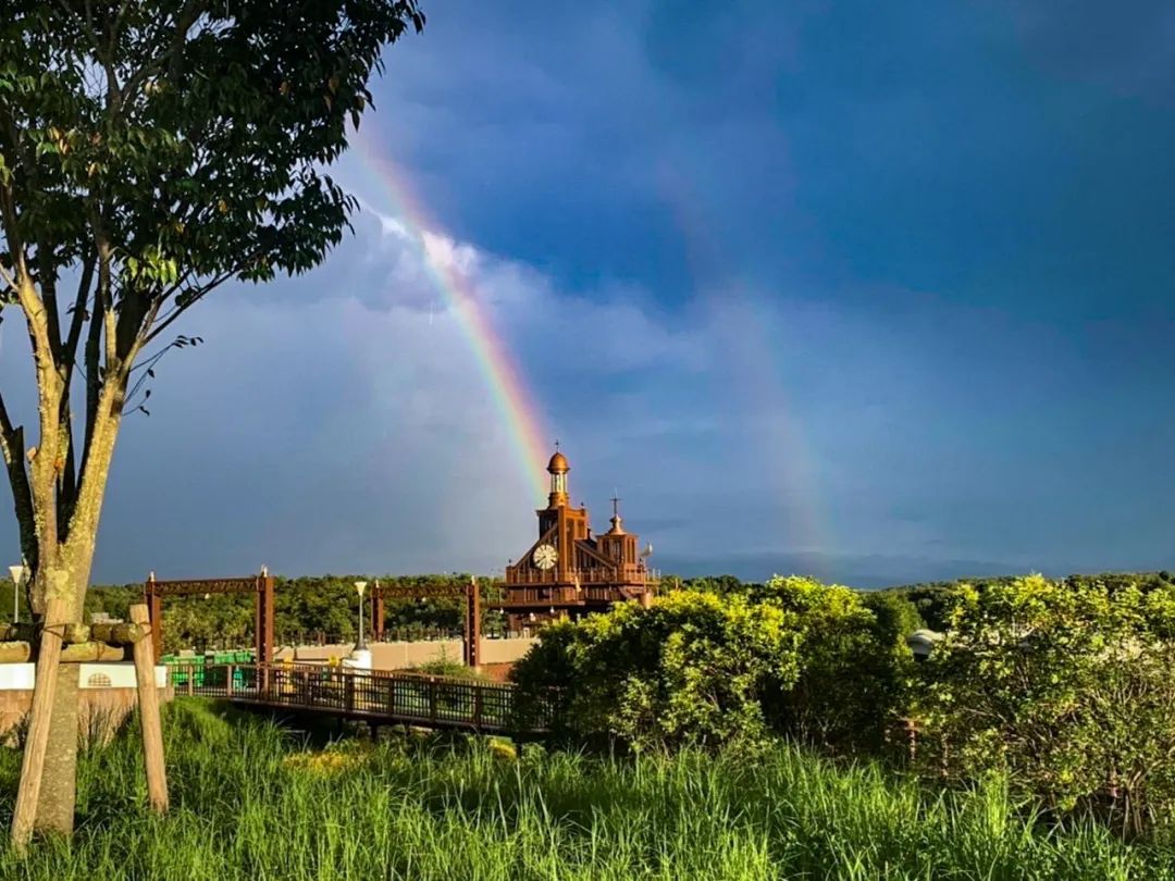 宫崎骏真的退休了吗,宫崎骏退休