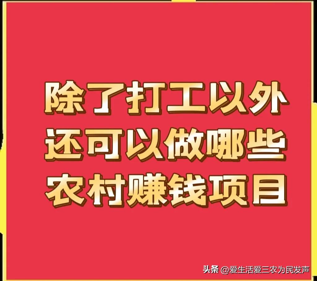 农村人除了进厂打工以外，还可以做这些项目，收入不比打工低