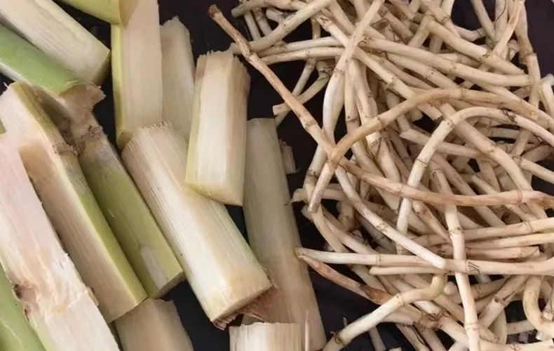 羊了之后咳嗽有痰吃什么效果最好,羊了嗓子痒咳嗽吃什么消炎药