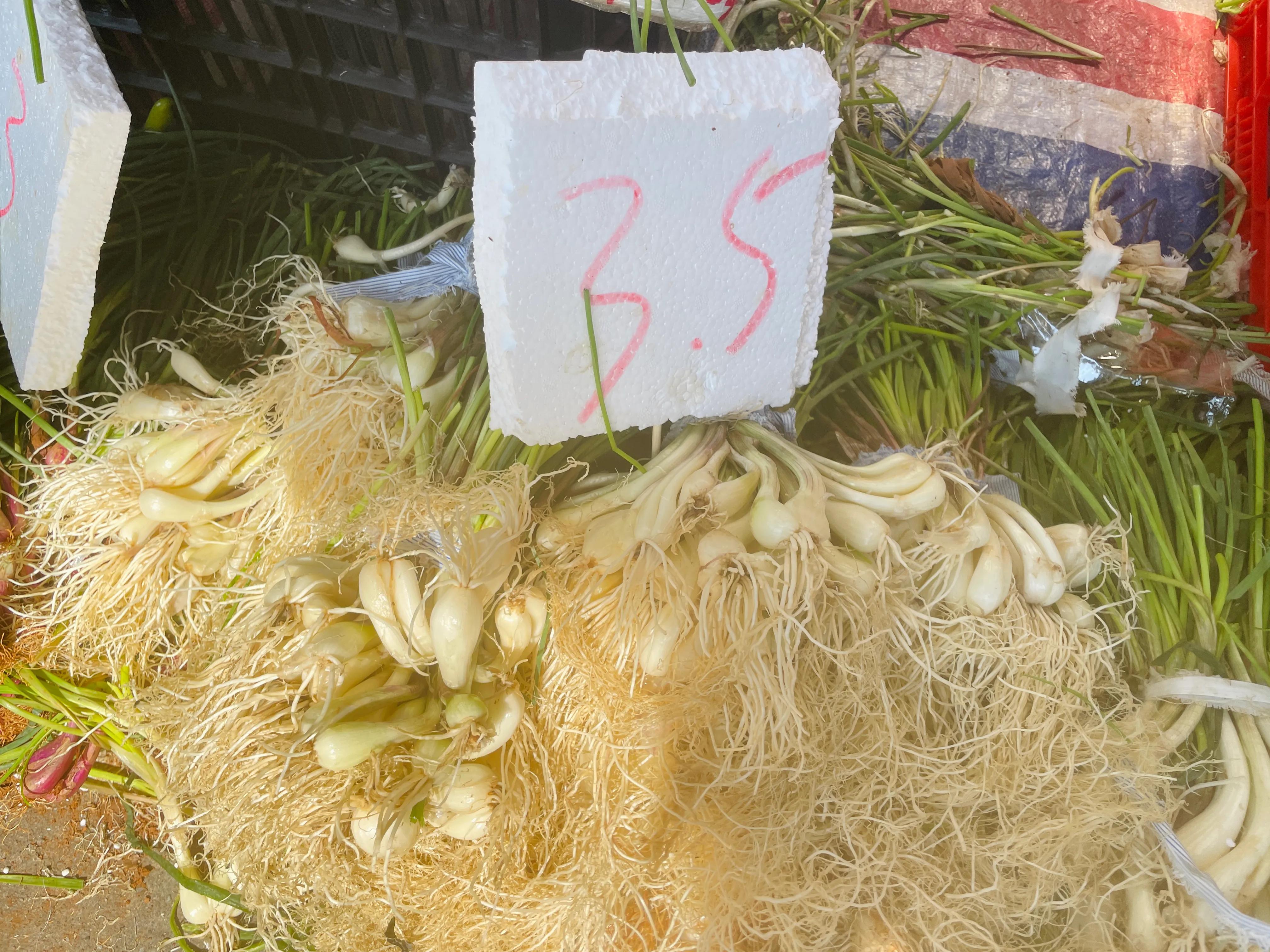 顺德三洲市场蔬菜,顺德伦教三洲市场圩日