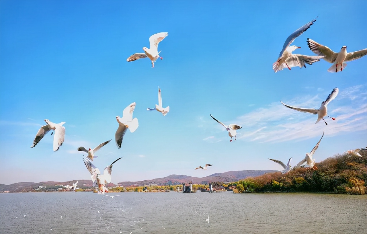 @所有人，三城年卡史上最低价！单人、亲子、家庭通通都有