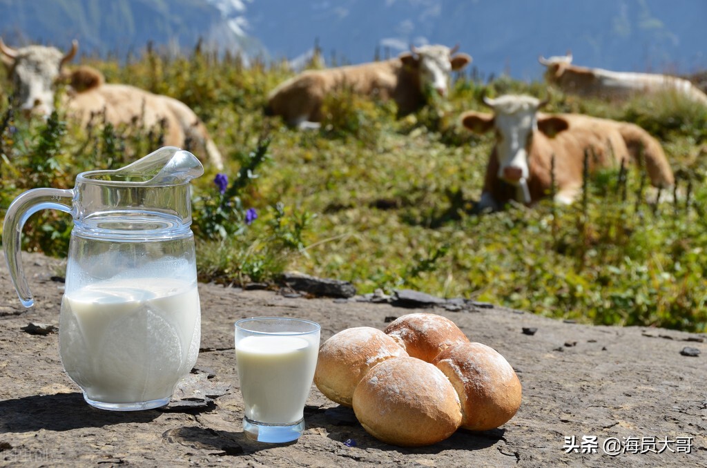 船员体验生活视频,船员体验一下船上生活