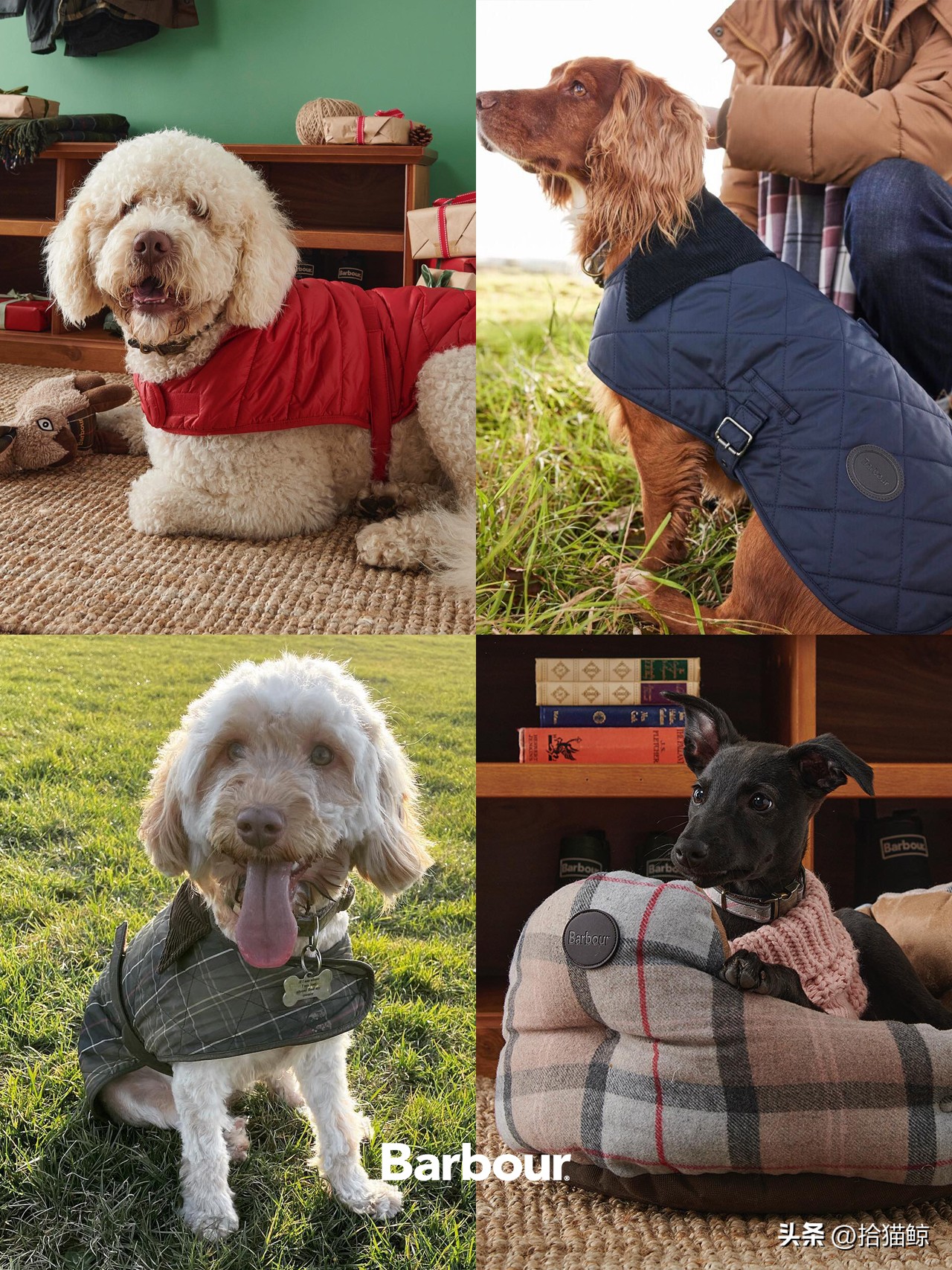 上流社会入场券,名牌包包是上流社会的敲门砖