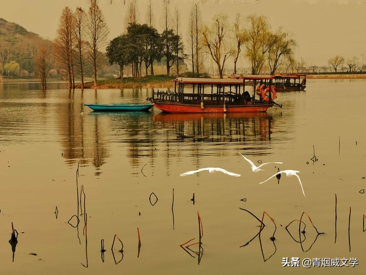 为艺术多一次曝光