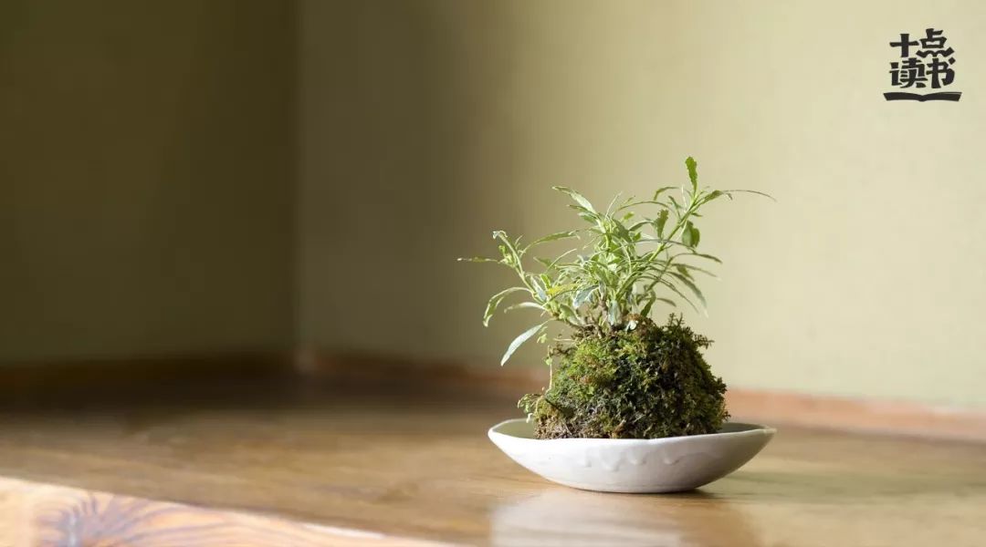 读懂余华第七天,看完余华的活着接下来看啥