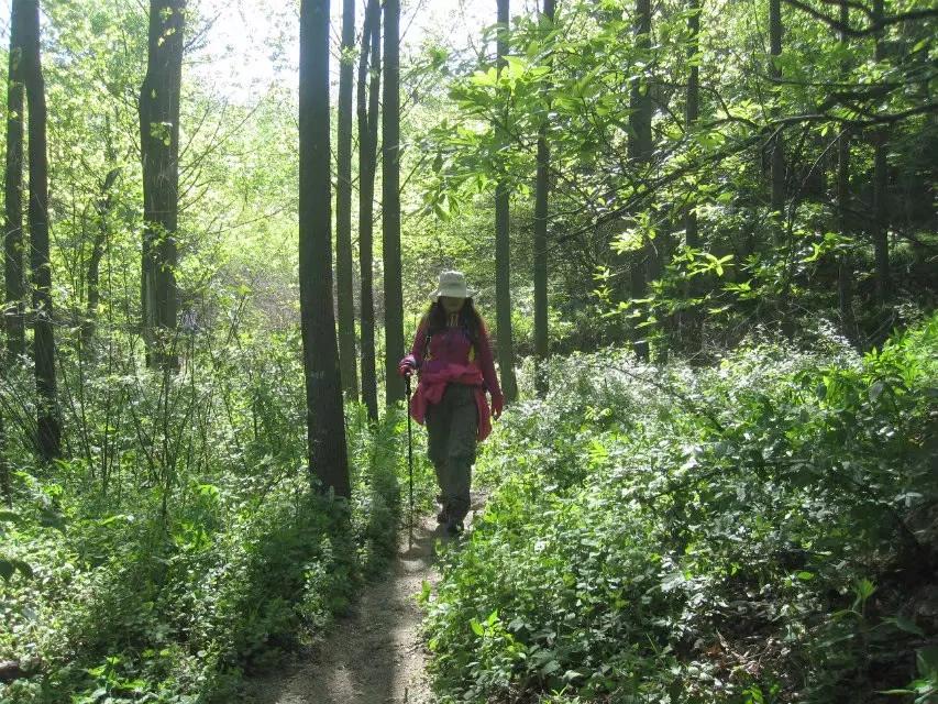 户外俱乐部论坛,经典户外论坛