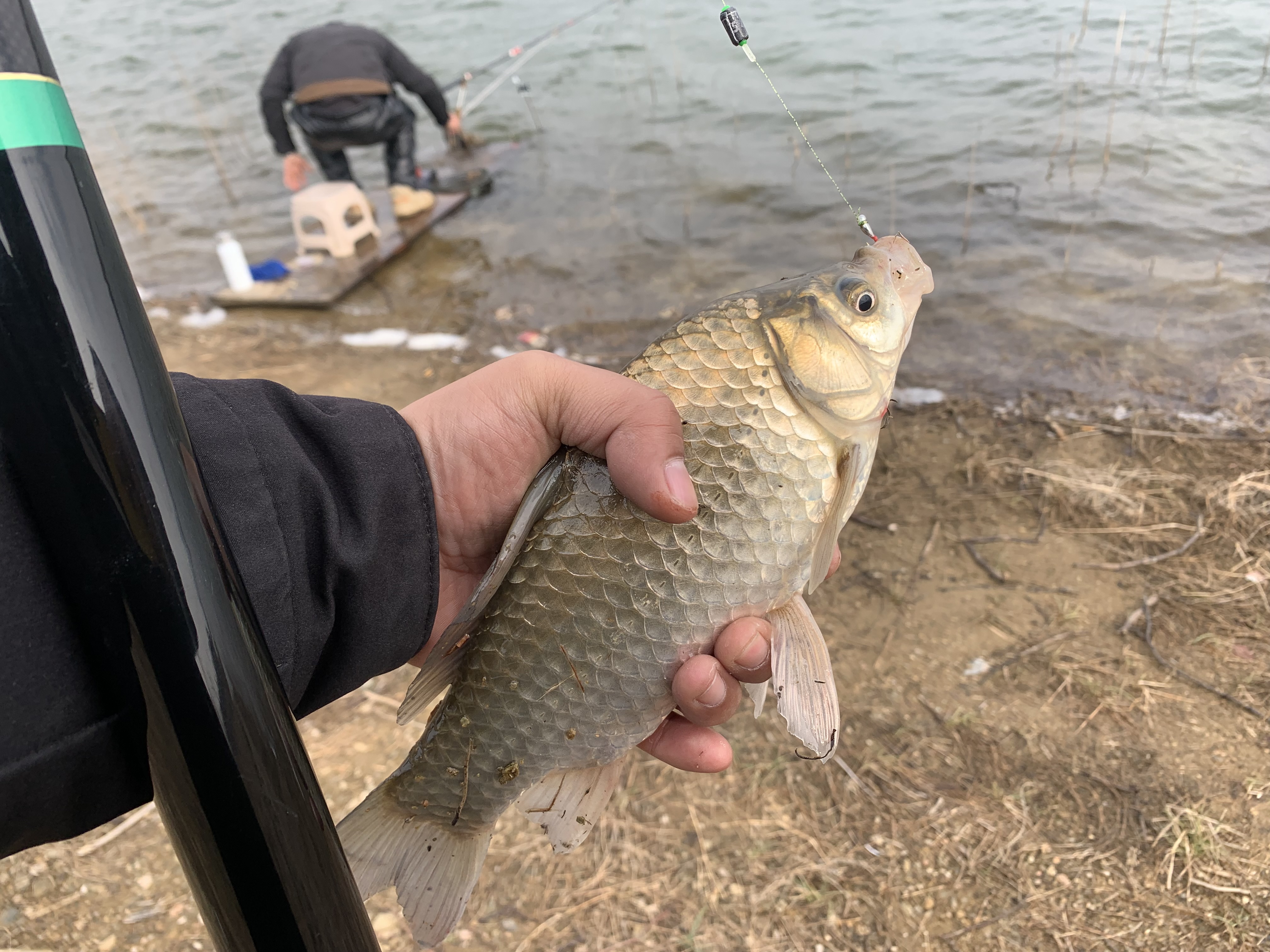 七星漂看不见动作,长竿七星漂看不清怎么办