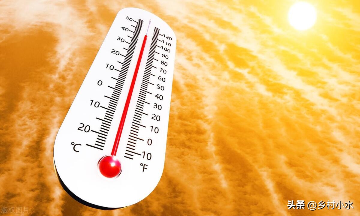 今天入伏下雨有什么说法,入中伏下雨有什么讲究