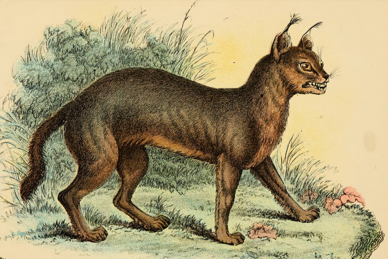 坟前三不种什么意思,坟前三不种床前四不留指的是什么