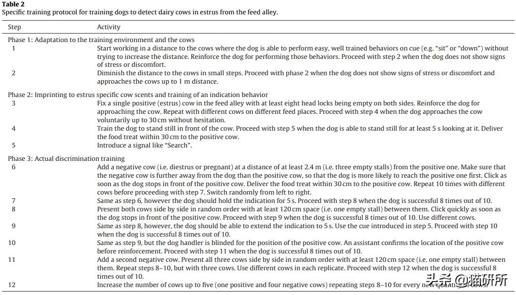 猫咪为什么喜欢趴在孕妇的肚子上,为什么猫咪喜欢在孕妇肚子上睡觉