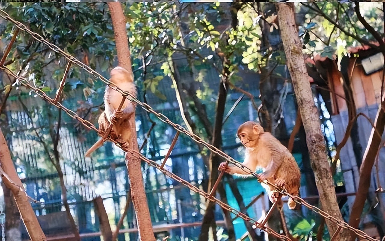昆明周边周末游玩的地方推荐,昆明周边游玩的好地方推荐