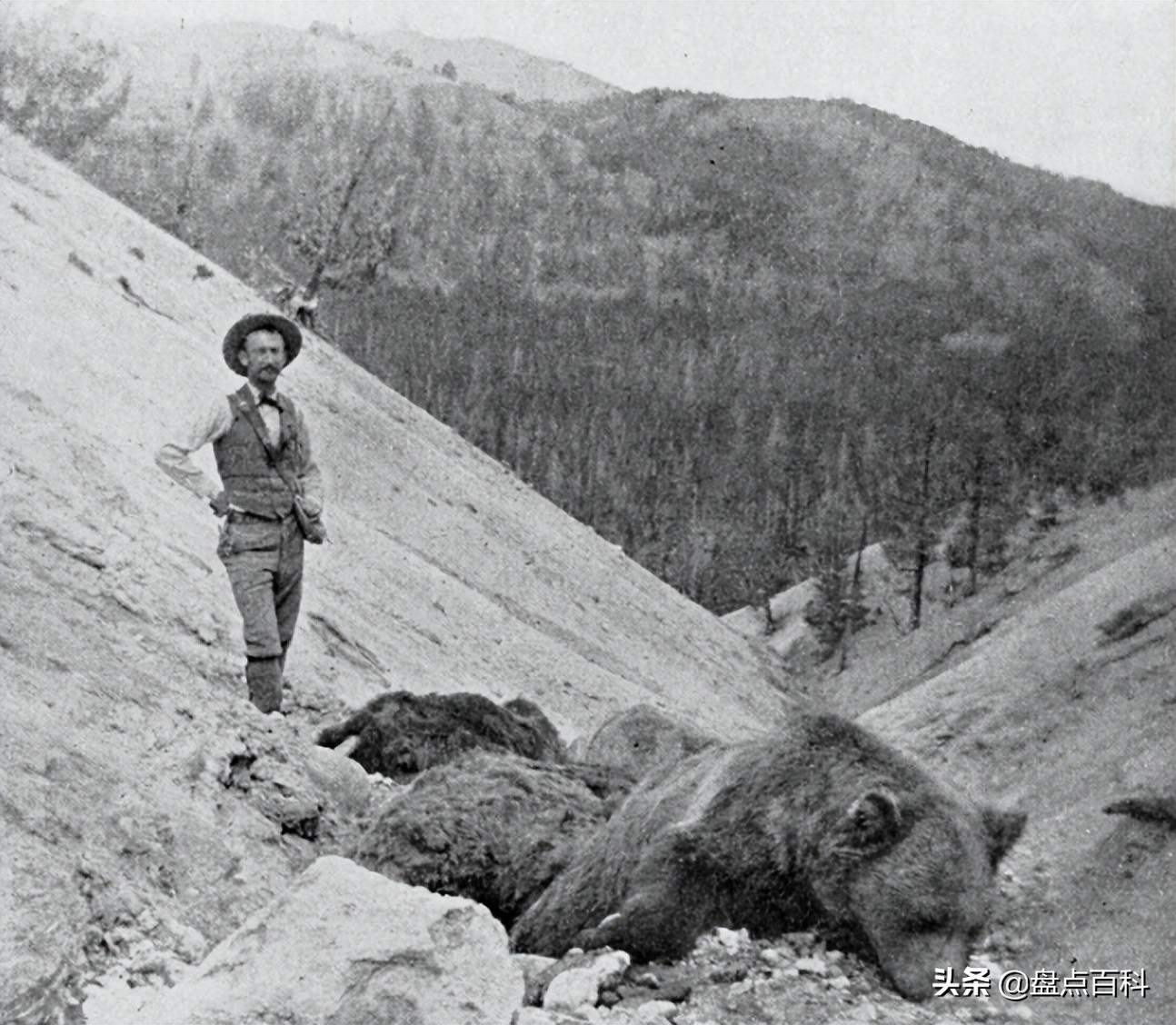 世界未解之谜泰坦尼克号沉船之谜,十大未解之谜泰坦尼克号幸存者