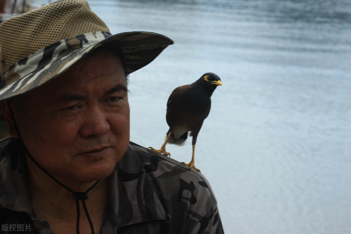 什么宠物好养有意思,这些超可爱的小宠物你养过吗