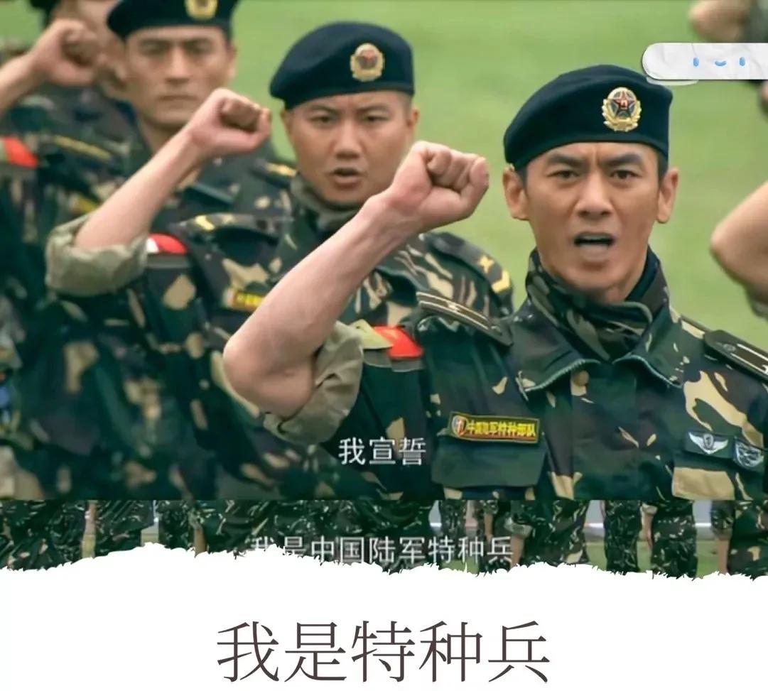 最好看的国产特种兵电视剧,十部顶级国产特种兵电视剧