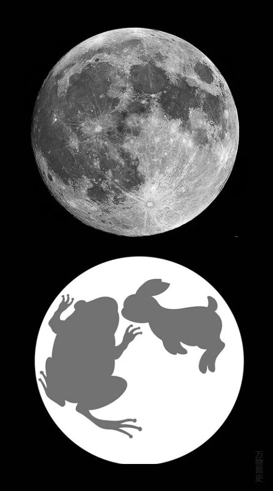 那年那兔那些年的故事,那年那兔那些事儿百年风云