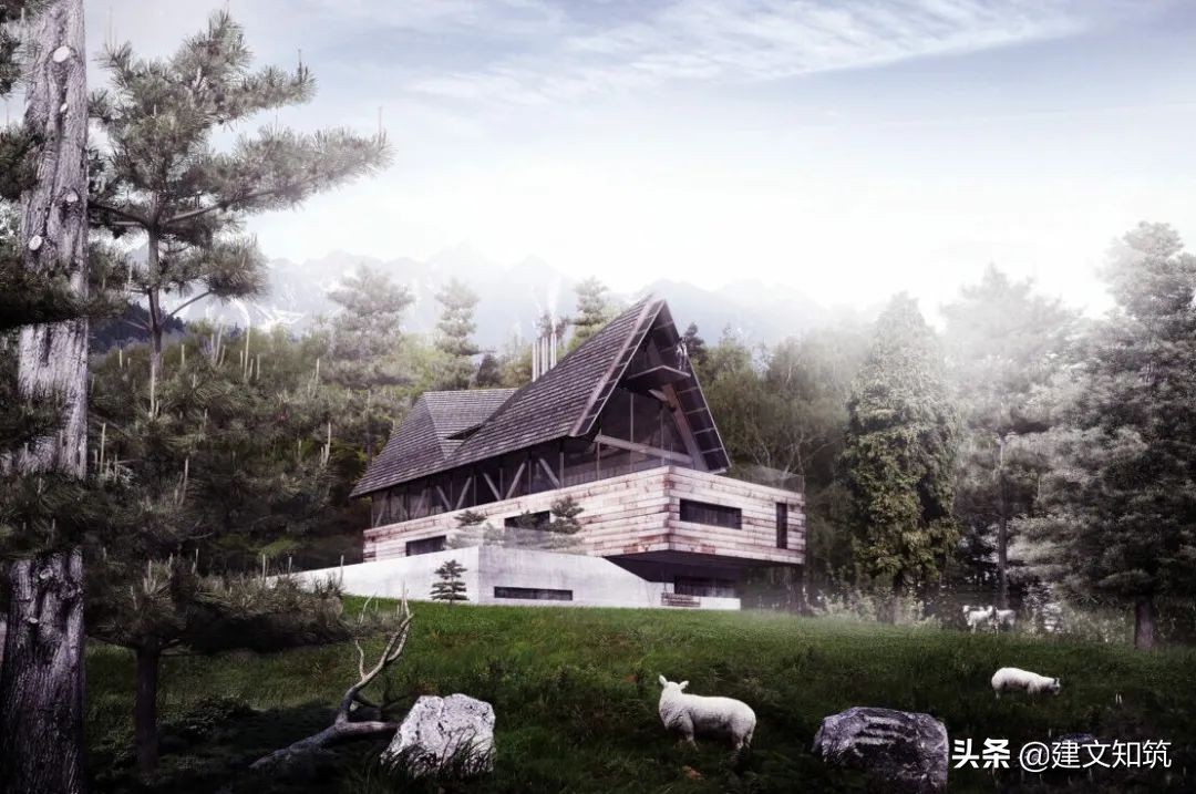 waf2023世锦赛,waf国内排名