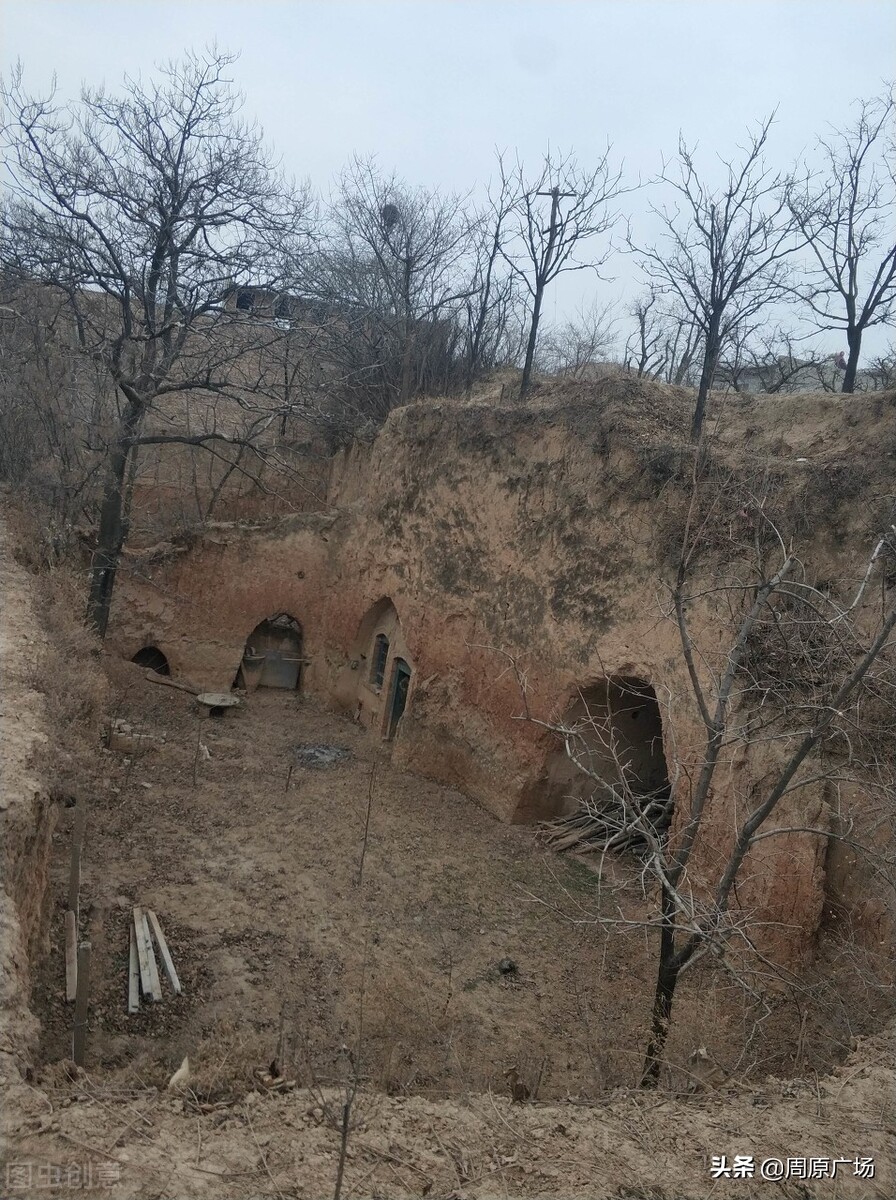 唐都浪子《饥荒年代关中往事》之：烧毛豆