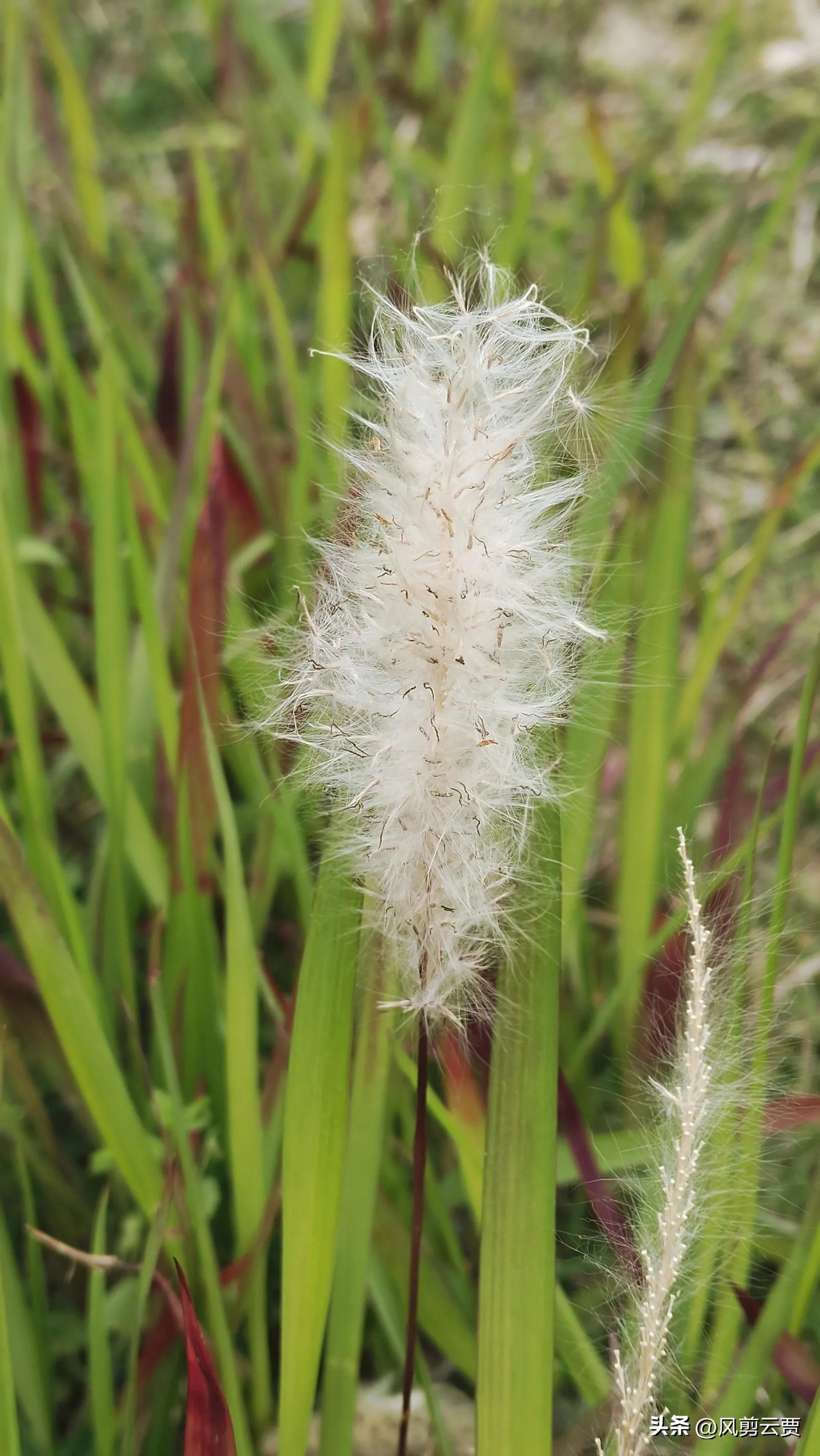 当你被人嘲笑和讽刺时你会怎么做,别人歧视你时你怎么反驳