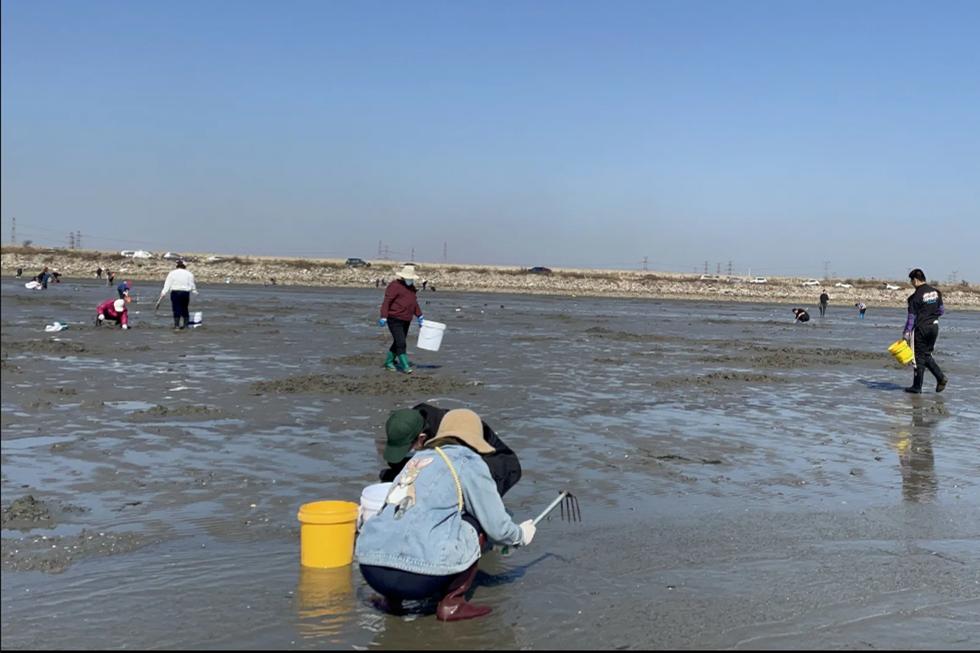 吃海鲜便宜的旅游胜地,最值得去的海鲜自助