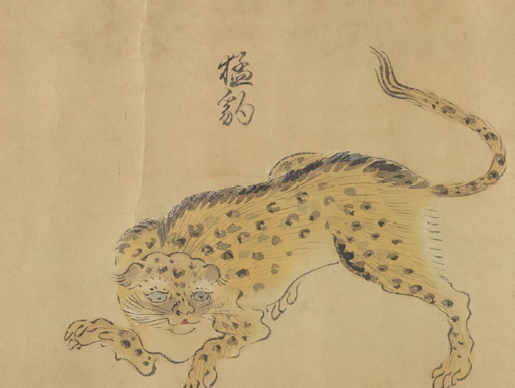 同人本子出场率最高的宝可梦，到底是什么来头？