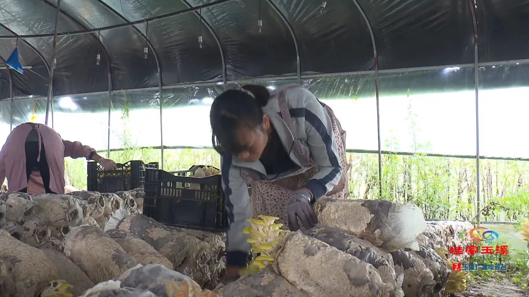 一线调研看发展,一线走访调研