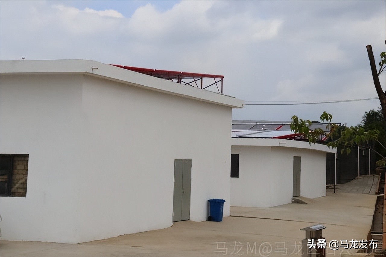 天津菲牛蛭养殖项目,广州市菲牛蛭养殖基地