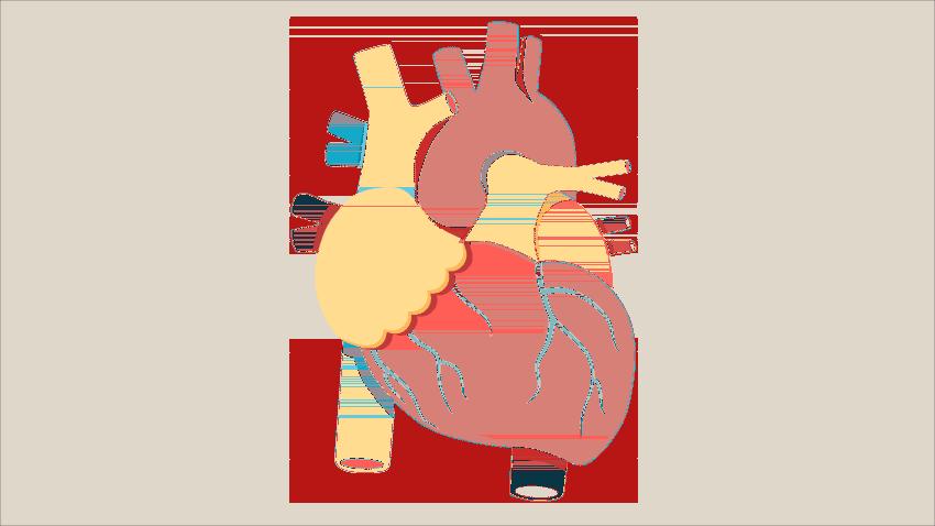 每天踮脚10分钟的好处,每天踮脚100次的功效