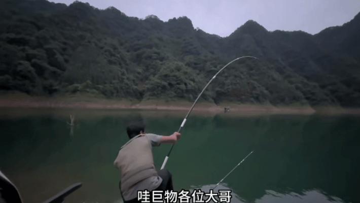 遛鱼巨青,网红钓鱼500块钓到6000块的鱼