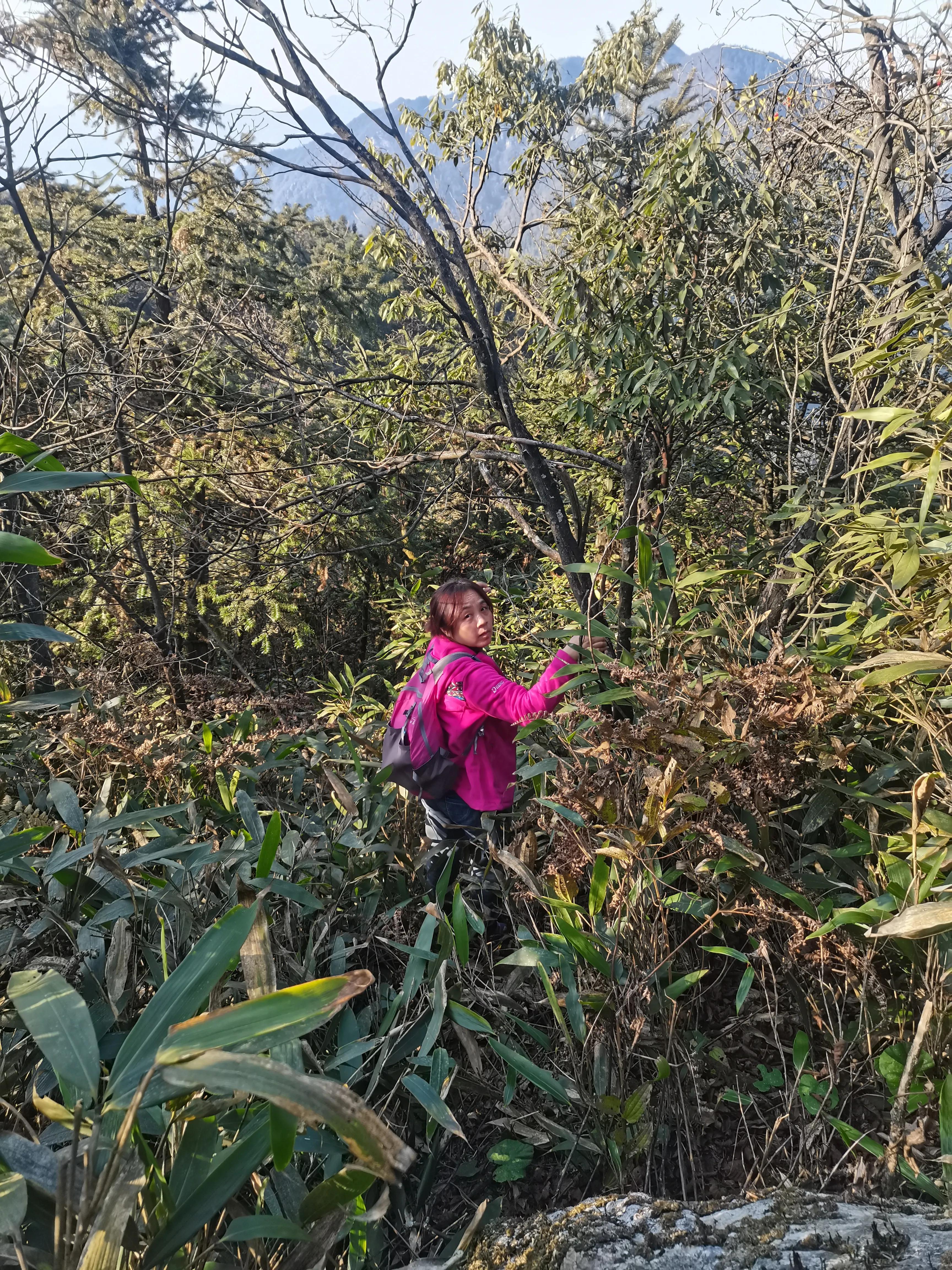 环岱山全程徒步要多久,新邵龙山自驾怎么走