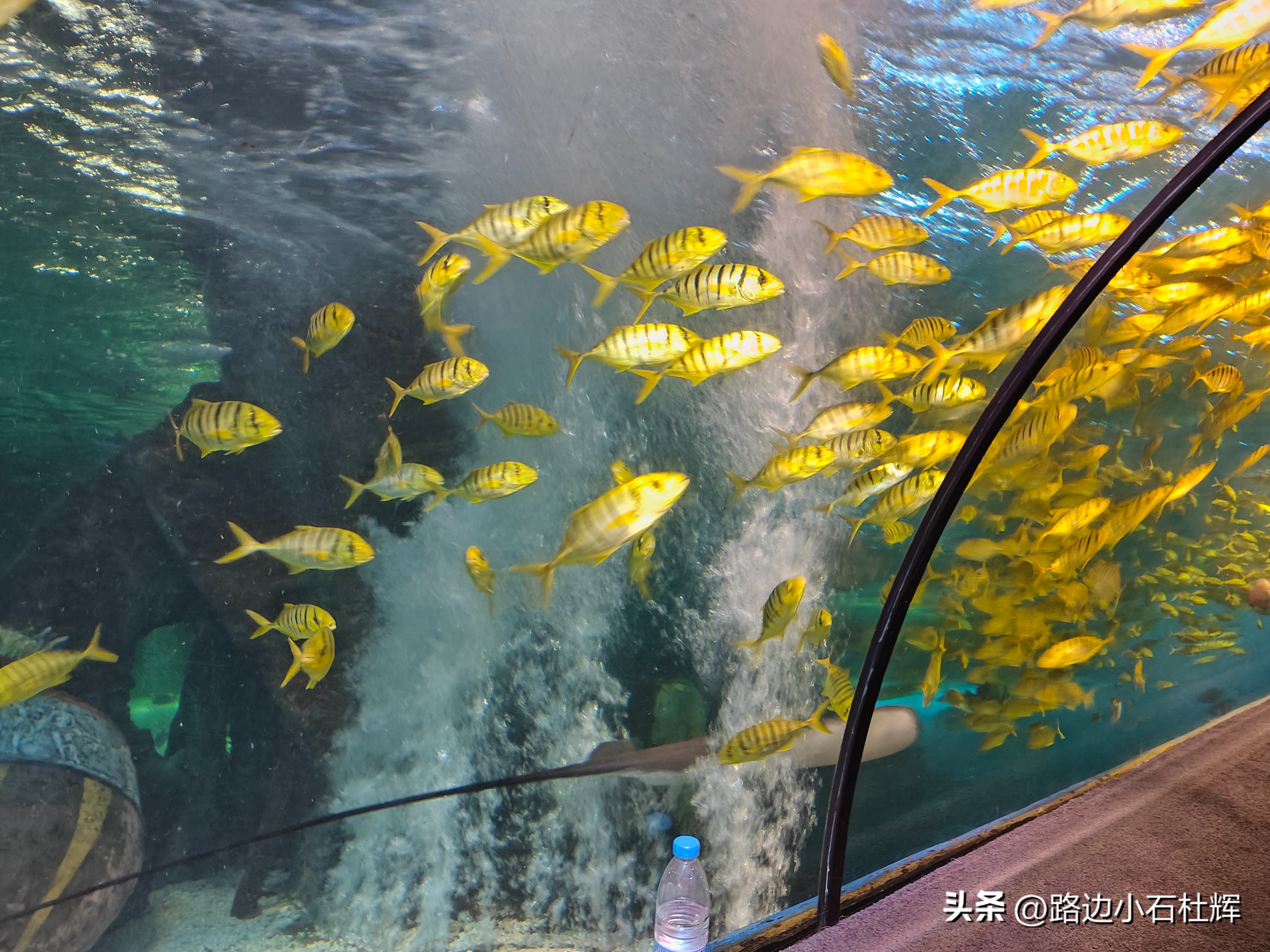 游游人间,游旅人间