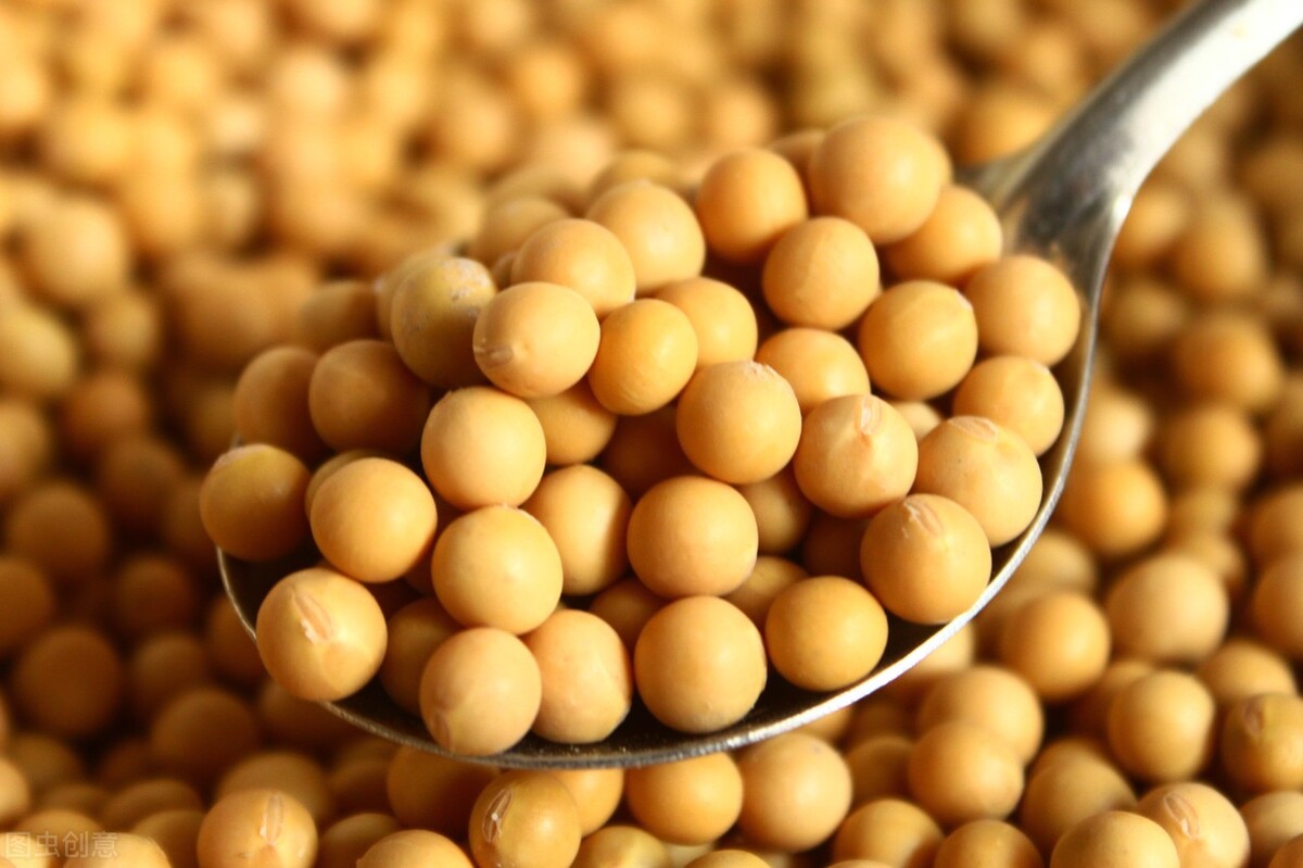 今天最新大豆价格涨了还是跌了,大豆行情今日大豆最新价格