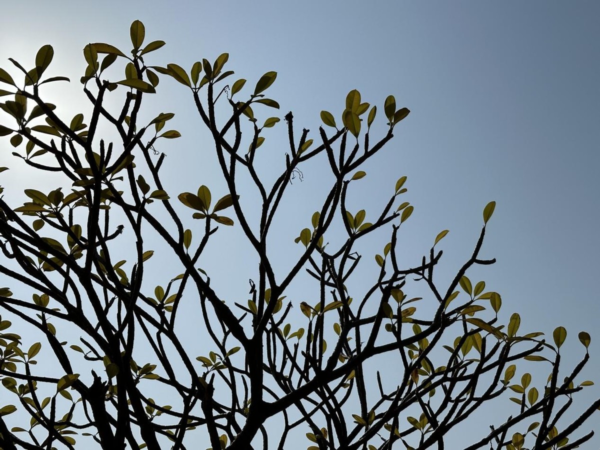 2023年推荐什么拍照手机,2023年3000左右拍照最好手机推荐