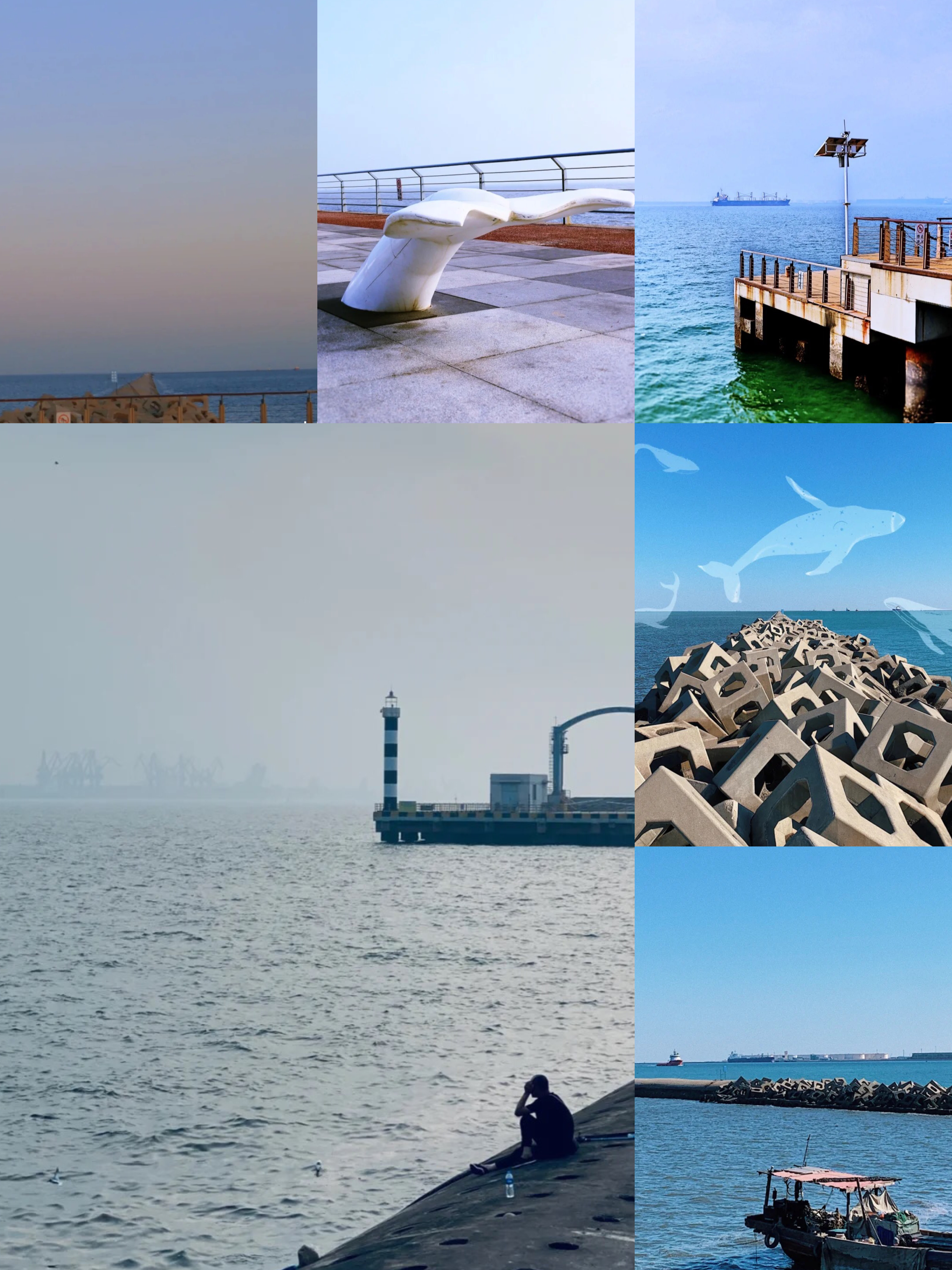 天津滨海新区看海游玩攻略,天津海边看海的地方