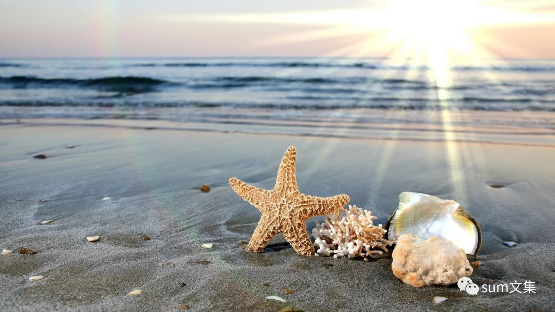 反复过敏和长痘怎么办,皮肤过敏长痘怎么办最快方法