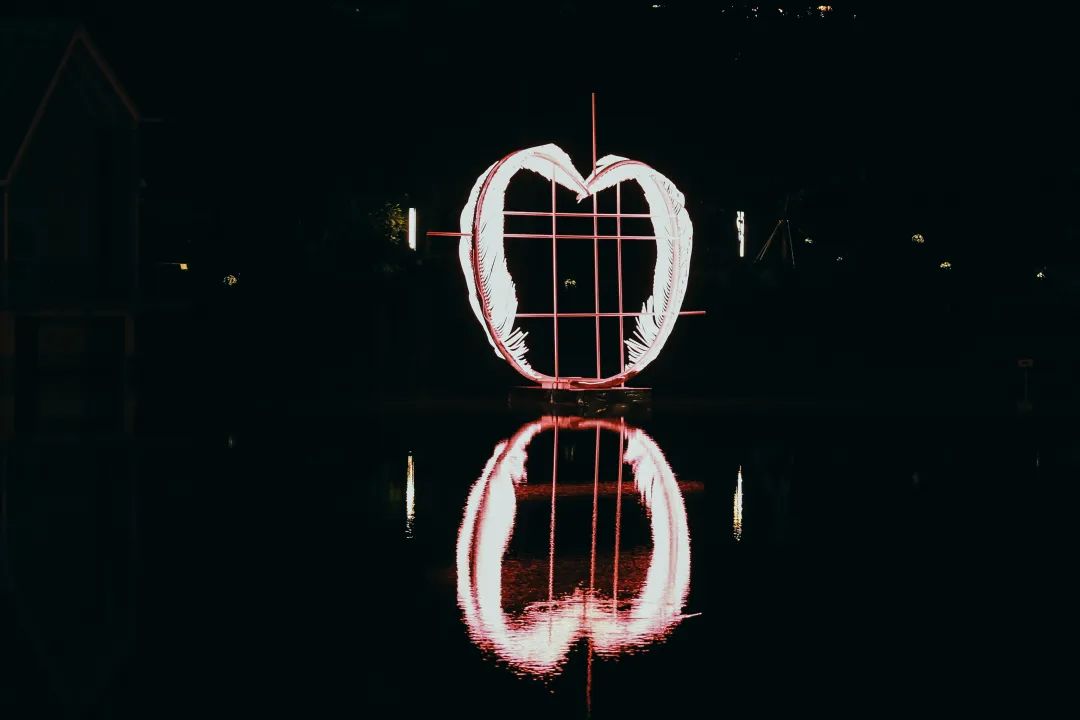 深圳香蜜公园参观指引,深圳光影艺术季攻略