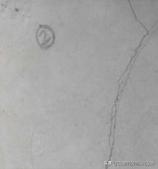 品质管控敏感点 (品质管控敏感点案例手册)